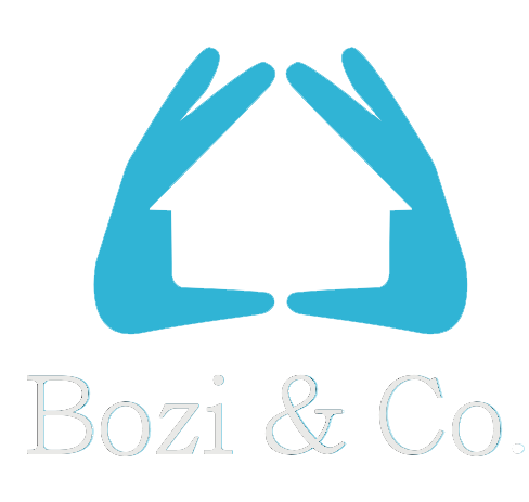 Bozi & Co Logo
